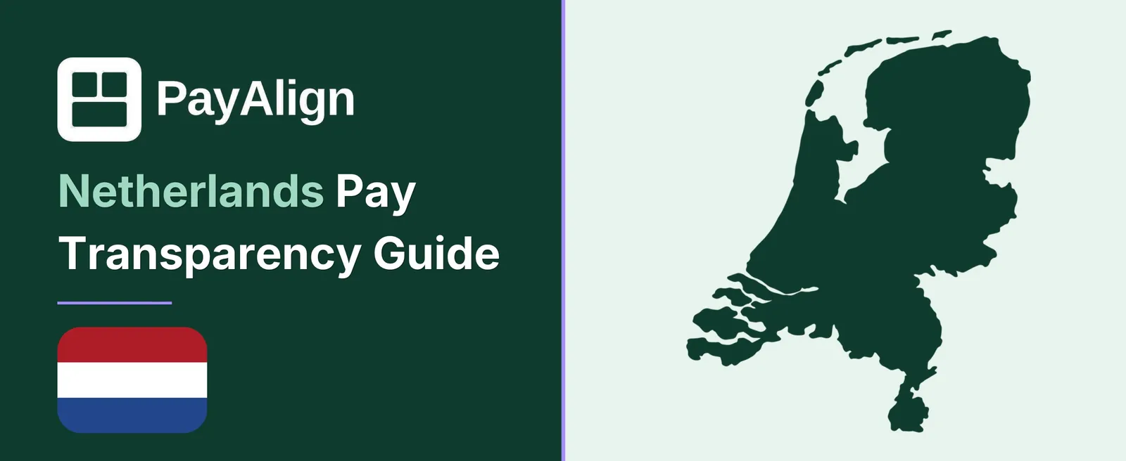 EU Pay Transparency Directive in the Netherlands — PayAlign Compliance Guide