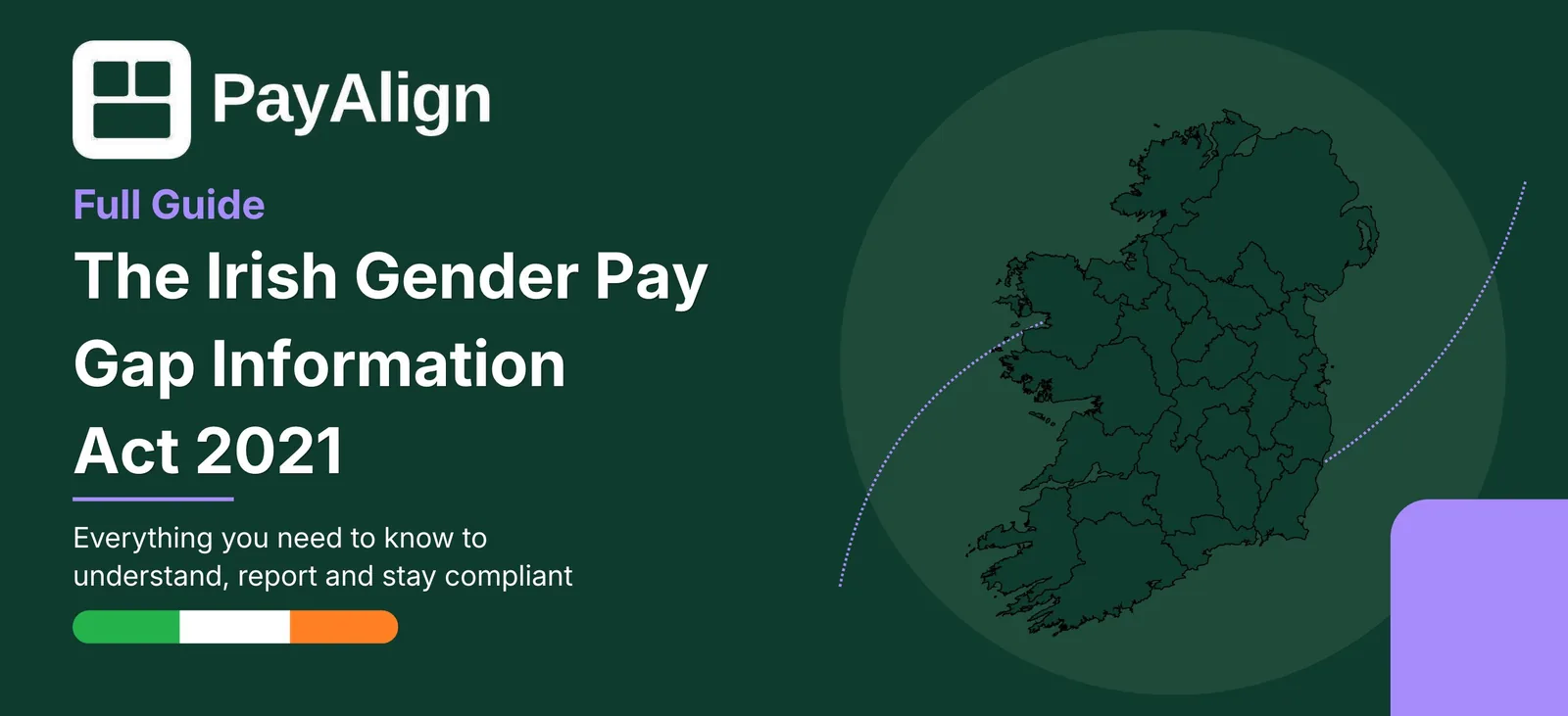 Ireland's Gender Pay Gap Information Act complete guide